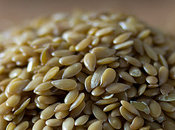 Omega 3 - Flax seed