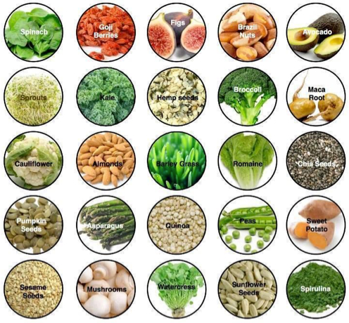Protein in Plant foods- Healthy Living @natureheals